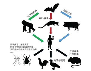 病毒家族那些事5