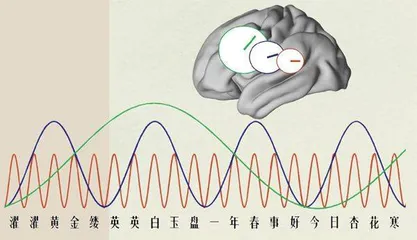 大脑神经有“古诗模式”？2