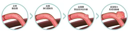 医学家的科研日常1