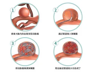 医学家的科研日常2