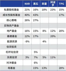 KKR的另类成长路径（六）1