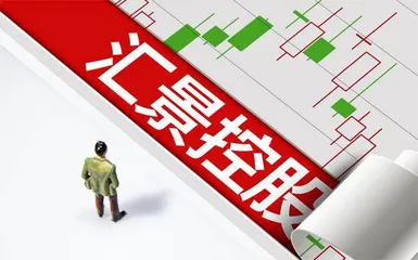 汇景控股股价大跌风险分析5