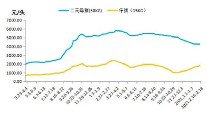 最强猪周期会不会演化成最长猪周期？1