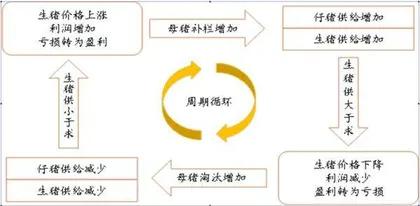 三大数据透视全年生猪产量或冲历史高度1