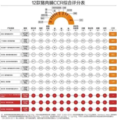 12款猪肉脯测评报告：哪一款营养、安全又好吃？5