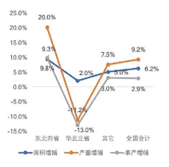 玉米：反替代背景下的再平衡