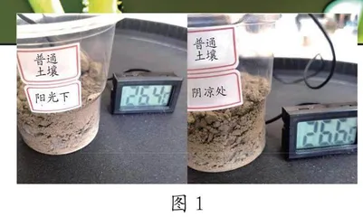 探究影响土壤升温快慢的因素0