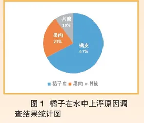 橘子的“救生衣”0