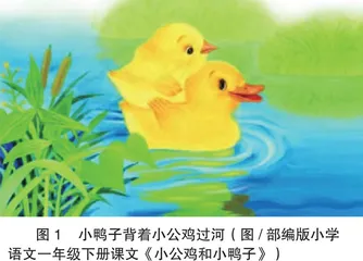 鸭子为什么能浮水0