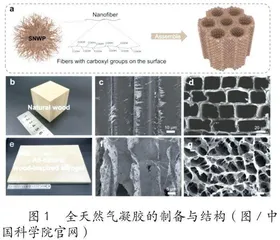 全天然仿木气凝胶0