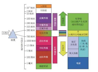 展品说：“闪光灯一开，我就好害怕！”0