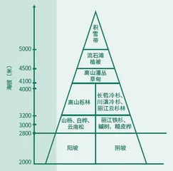 稻城自然考察笔记5