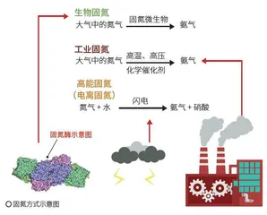 氮气坚固的化学键，是如何被击破的？1