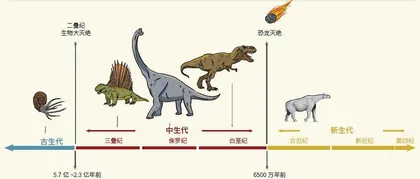 穿越青藏高原的史前巨兽：巨犀家族1