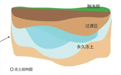 青藏高原的冻土化了怎么办？