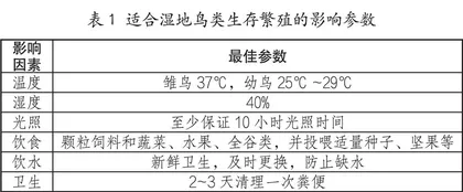 湿地鸟类智能化生态鸟巢0