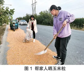 花椒叶如何灭虫