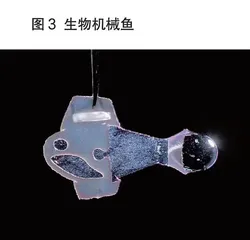 生物机械鱼0