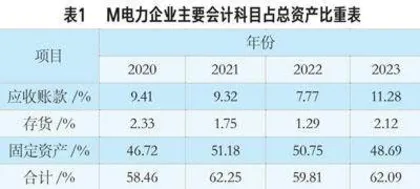 对电力企业财务报表分析体系及分析方法的若干思考0