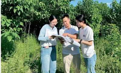 洛阳市审计局关注林业生态效益 助推美丽洛阳建设