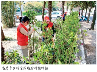 信阳市审计局 开展“我们的节日·清明”主题活动 