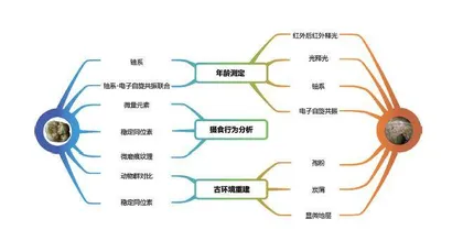 “金刚”为何灭绝？他们用八年破解“悬案”5