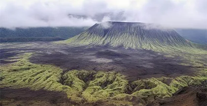 24小时内两只地鼠改变了一座火山2