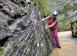 在哀牢山科考近20年一天经历四季，也曾迷路过2