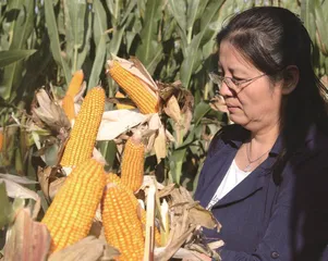 三十多年育种路 农业战线谱华章1