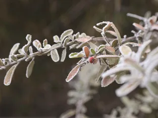 培养幼儿对二十四节气的兴趣与认知1