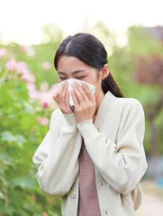 花粉过敏“真凶”是谁0