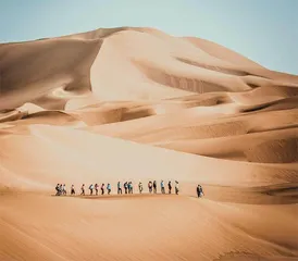 巴尔鲁克山蜕变　西陲牧歌起新声