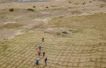 分享防沙治沙经验推动全球环境治理