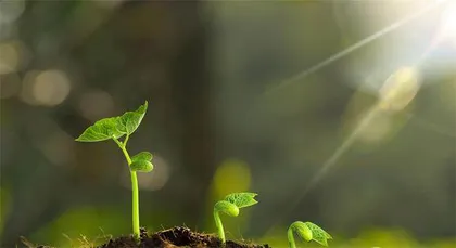 担心生物入侵？空气中能找到线索