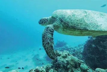 控制全球变暖保护生物多样性3