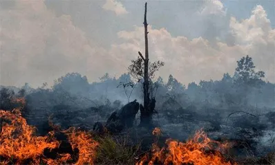 应对气候变化成为中国参与全球治理的重要着力点1