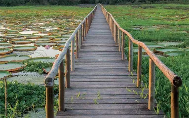 面积最大的湿地公园2