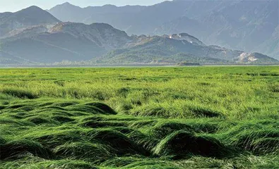 长江全流域遭遇61年最严重干旱