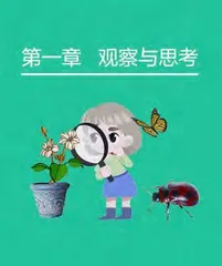 跨学科思维，激发人类的创造力1