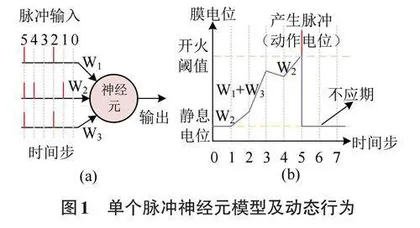 脉冲神经网络硬件系统的膜电位存储复用机制0