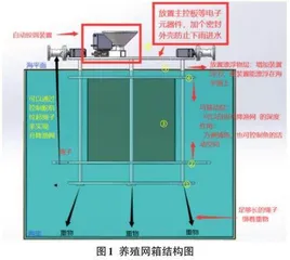 基于图像处理的鱼类计数与测量方法研究0