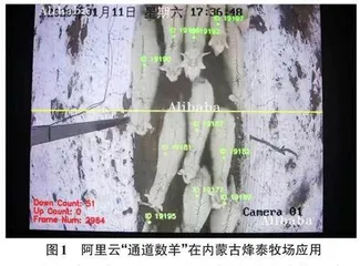 人工智能技术在智能化管理中的应用研究