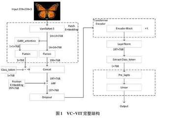 基于改进Vision Transformer的蝴蝶品种分类