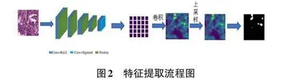 多实例弱监督语义分割在癌症病理图像分割的应用0