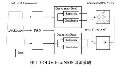 基于YOLOv10s的车辆与行人检测方法0