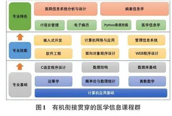 医工结合视域下“三位一体”医学信息课程群的构建与实践0