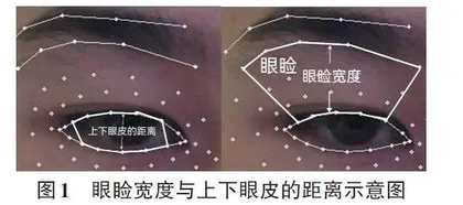 基于MediaPipe-MeshFace模型的面部多特征疲劳驾驶检测算法0