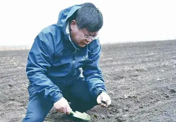 土壤“厨师”朱永官