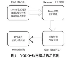 基于YOLOv5s神经网络的农林业常见虫害检测的应用研究0