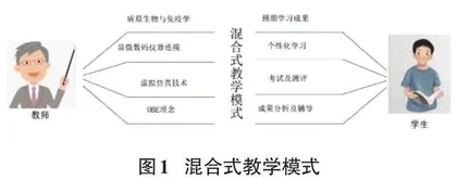 OBE理念下显微数码互动与虚拟仿真的混合式教学模式在微免中的应用研究0